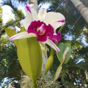 Meet your Posher, Angelique